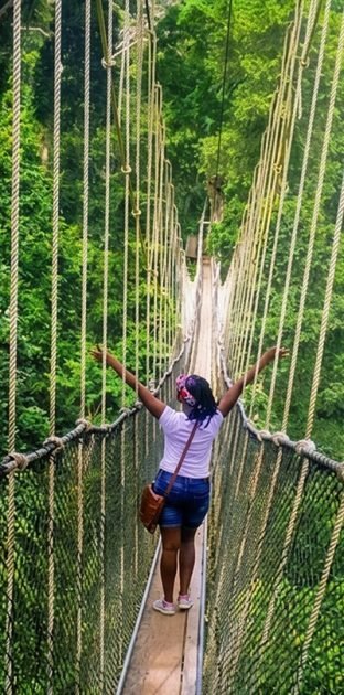 Small canopy e1773076487357